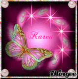 Karen Butterfly tag