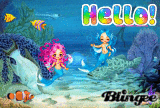 Hello from the sea