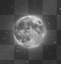 moon moon