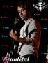 seb simple plan