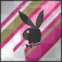 playboy bunny...XxX