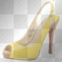 shoe