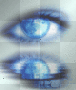 eye