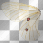 butterfly wing left