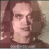 the crow