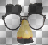 groucho glasses 