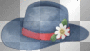 hat