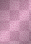 Pink Wild Cheetah