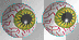 eyes