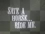 horse