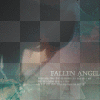 Fallen Angel