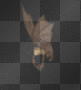 flying bat