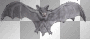 bat