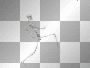 Marching Skeleton