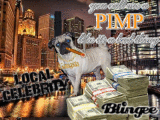 pimp