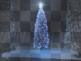 sapin