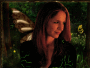Forest Faerie