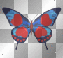 love butterfly