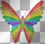 rainbow butterfly