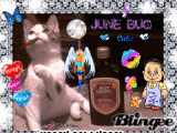 new year jbug