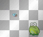 Cute frog