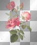 pink roses pink roses