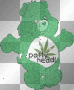 pot head carebear
