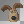 Grommit