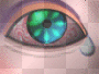 eye