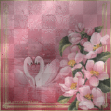 Cygnes sur fond rose