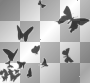 frame - butterfly