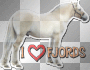I Love Fjords