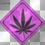 Pink Weed Leaf