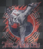 Tae Kwon Do