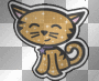 cute cat