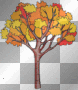 Tree in Autumn