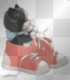 shoes cat
