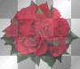bouquet de roses rouges