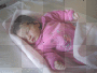 CAMILLIA