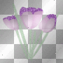 purple crocus glitter