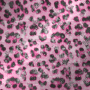 Leopardd