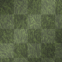 grass