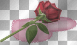 coeur de rose