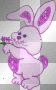 bunny bunny