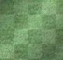 grassy grass