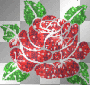 Beautiful Sparkling Rose