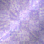 glitter