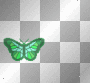 Green Butterfly