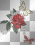 pearl rose