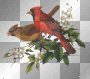 exotic birds